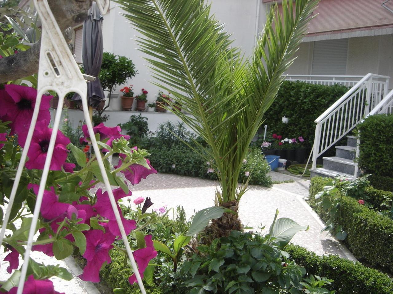 Hotel Angela Ασπροβάλτα Εξωτερικό φωτογραφία